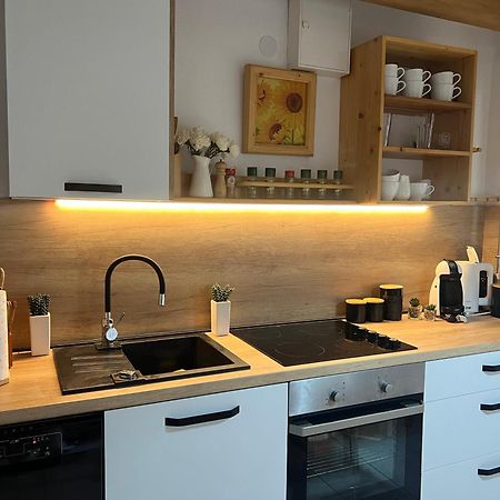 Apartment Cactus Donji Okrug  Dış mekan fotoğraf