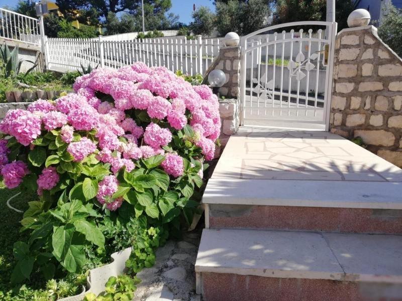 Apartment Cactus Donji Okrug  Dış mekan fotoğraf
