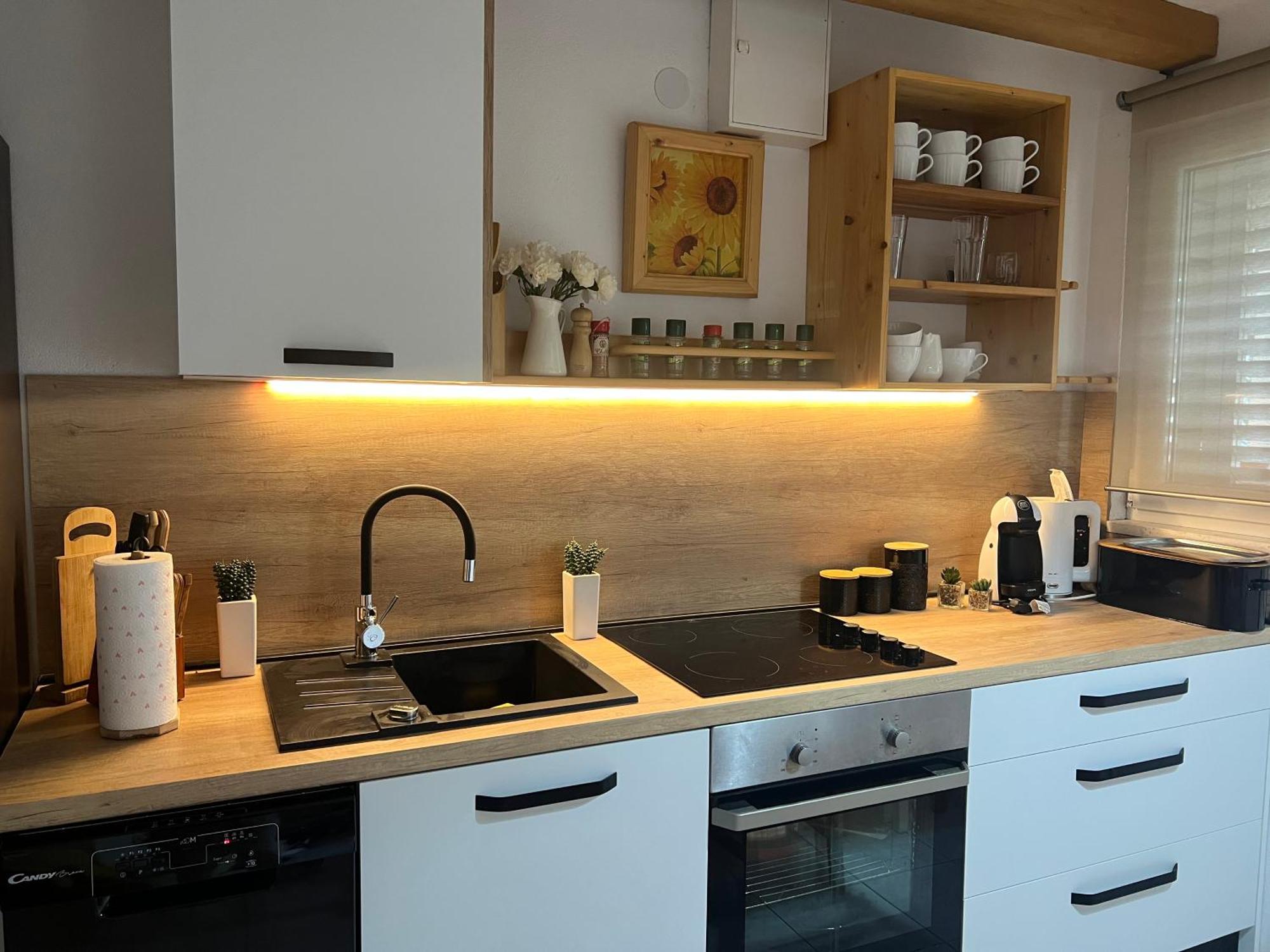 Apartment Cactus Donji Okrug  Dış mekan fotoğraf