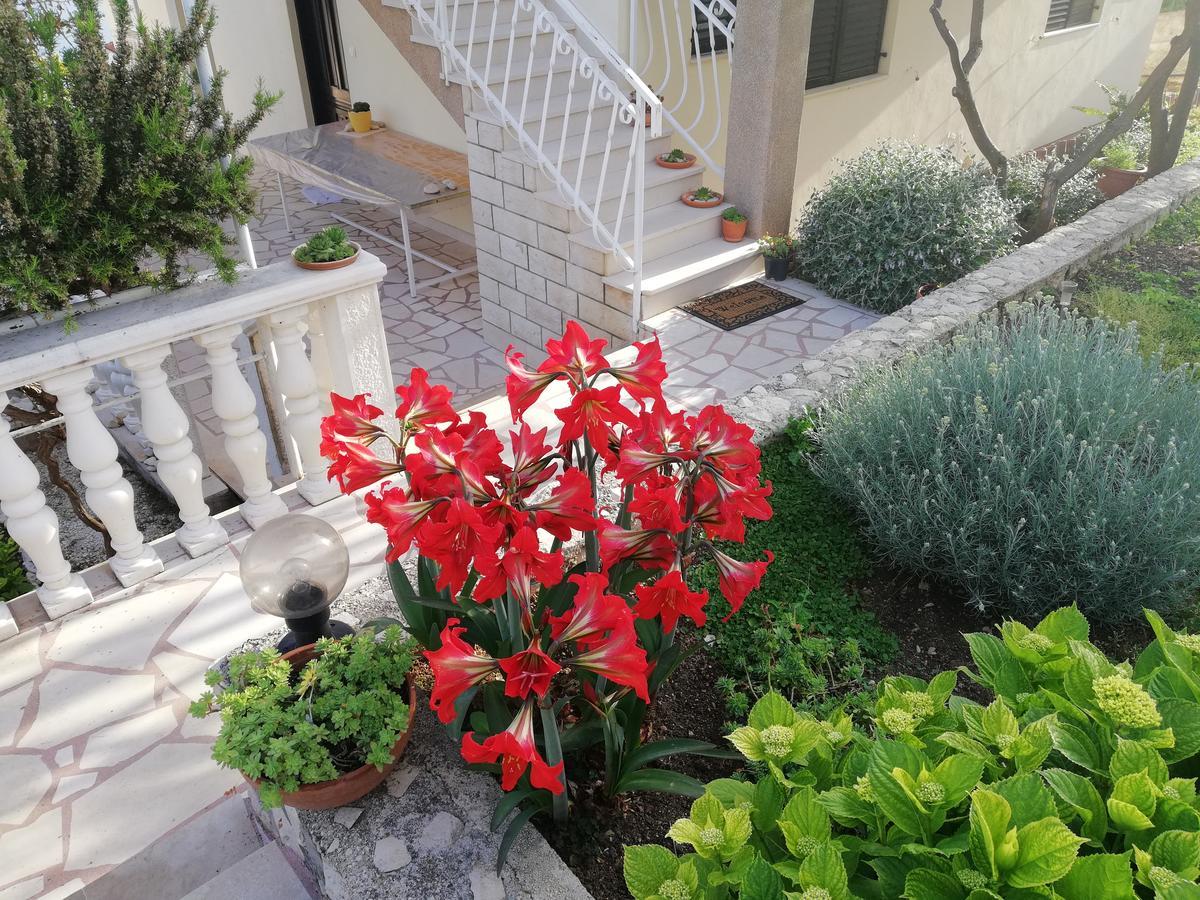 Apartment Cactus Donji Okrug  Dış mekan fotoğraf