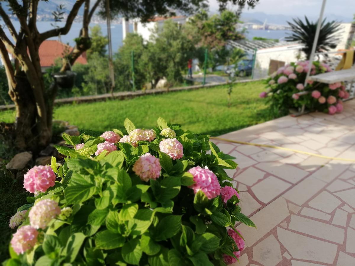 Apartment Cactus Donji Okrug  Dış mekan fotoğraf